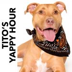 Gallery 1 - Happy Hour Patio Nights – Tito's Yappy Hour