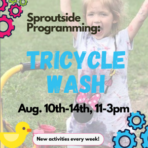 Sproutside Programming: Tricycle Wash Station
