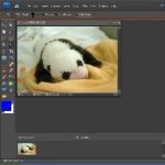 Photoshop Workshop Basics